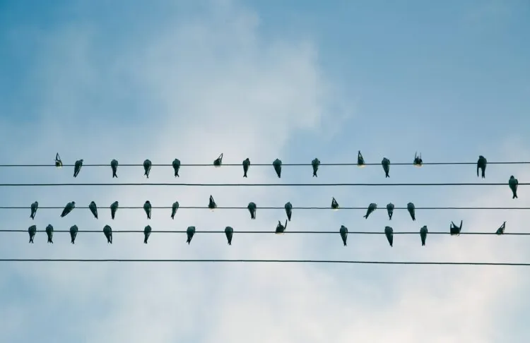 Universal Credit: take aways from DWP’s managed migration webinar, March 2019